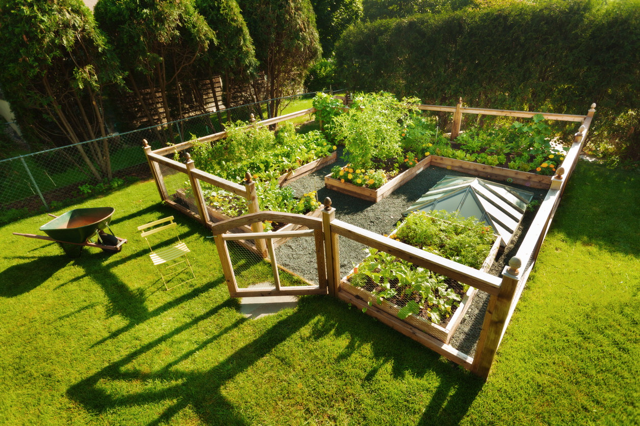 Flower Garden In Backyard 