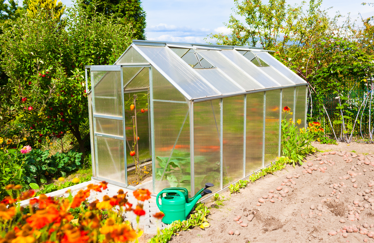 10 Enclosed Vegetable Garden Ideas for Every Budget Food Gardening Network