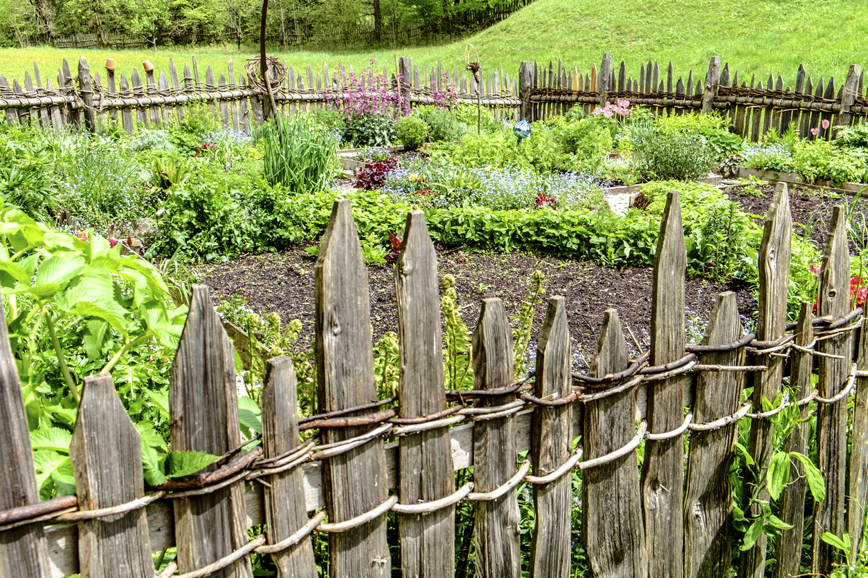 7 Creative Vegetable Garden Border Fence Ideas - Food Gardening Network