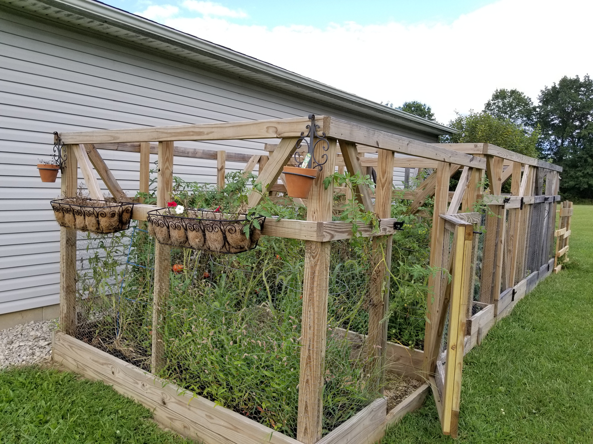 Creative Vegetable Garden Border Fence Ideas Food Gardening Network