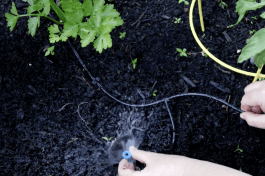 How to Create a Custom DIY Drip Irrigation System for Raised Beds for Under $100