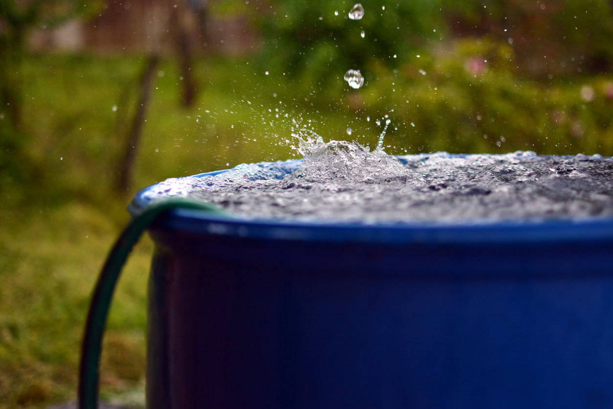 How to Recycle Rain Water for Vegetable Gardens - Food Gardening Network