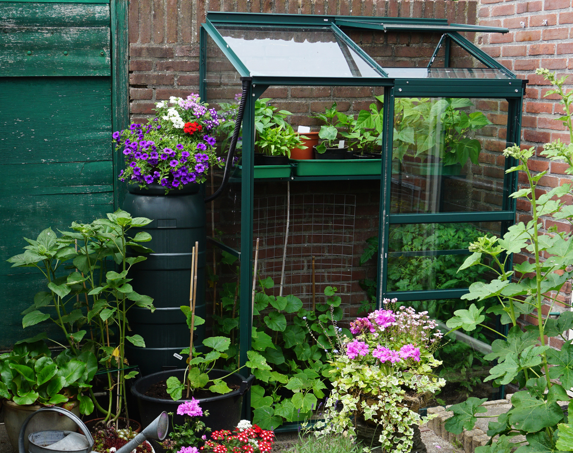 10 Enclosed Vegetable Garden Ideas for Every Budget Food Gardening