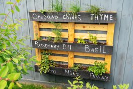 How to Make a DIY Pallet Hanging Garden for Herbs