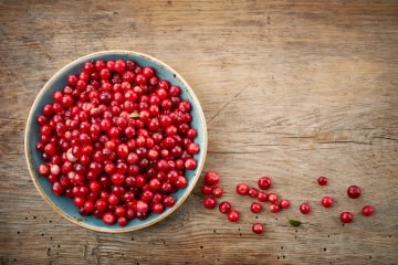 How to Grow Lingonberries and 3 Ways to Use Them