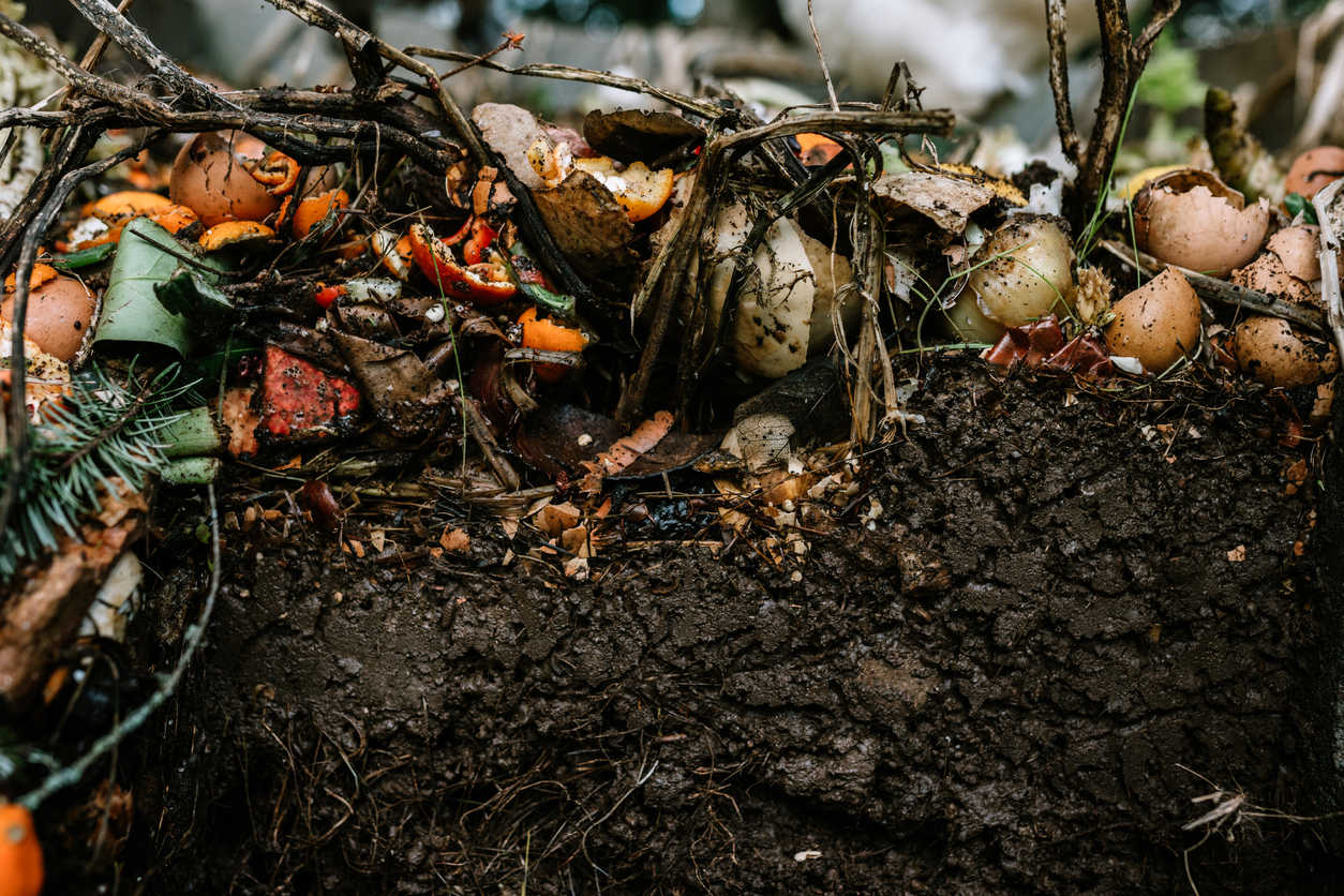 can compost go bad