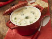 Cream of Broccoli Soup