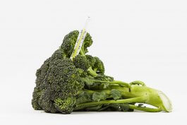 Dealing with Broccoli Diseases