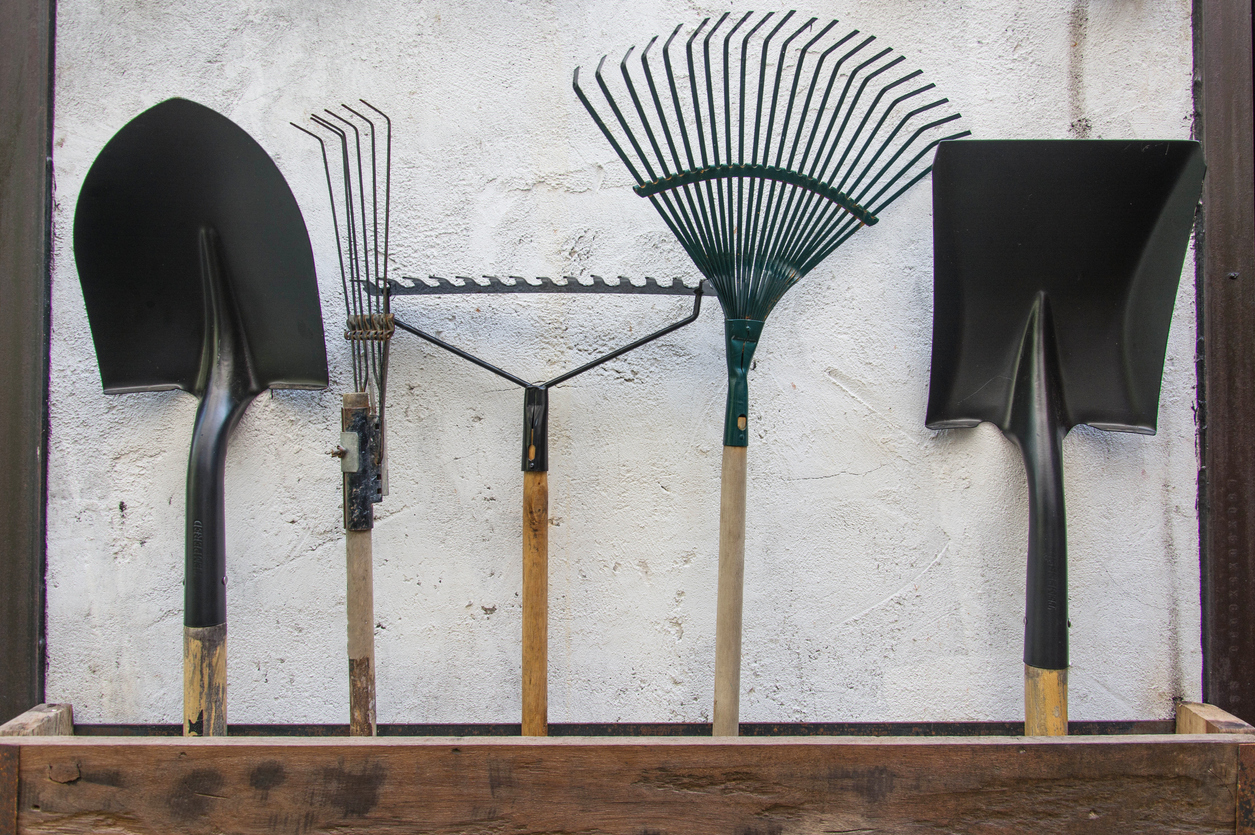Choosing the Best Shovel for Your Gardening Needs Food Gardening Network