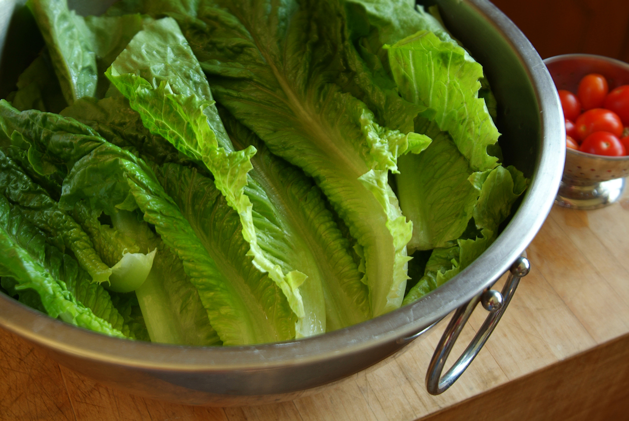 How Does Lettuce Get E. coli and How to Prevent it in a Home Garden