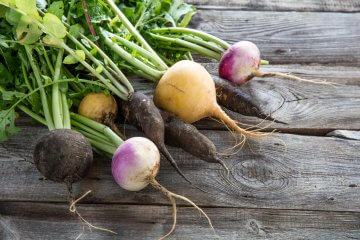 Tips for Growing Root Vegetables Indoors in Pots