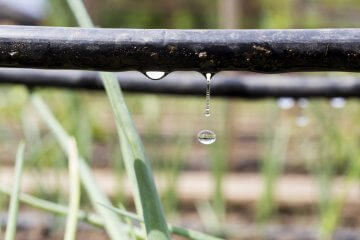 5 Benefits of Gravity Drip Irrigation Systems for Hillside Gardens