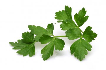 5 Tips for Preserving Parsley and Other Herbs for Cooking