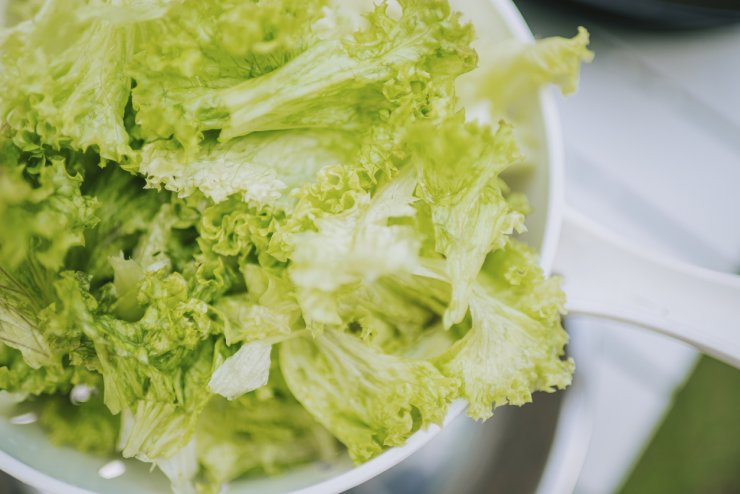 Healthy lettuce in a bowl