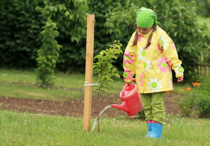 Young gardener watering apple tree