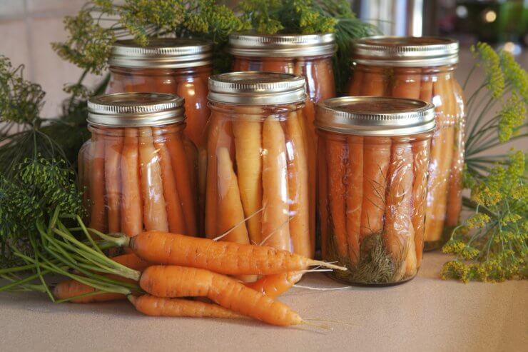 Homemade Dill Carrot Pickles