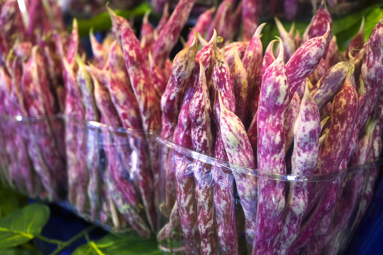 Vegetables for Hot Dry Climates A Zone 9+ Planting Guide Food