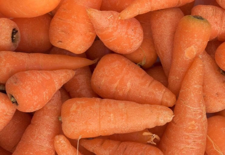 Red Cored Chantenay carrots