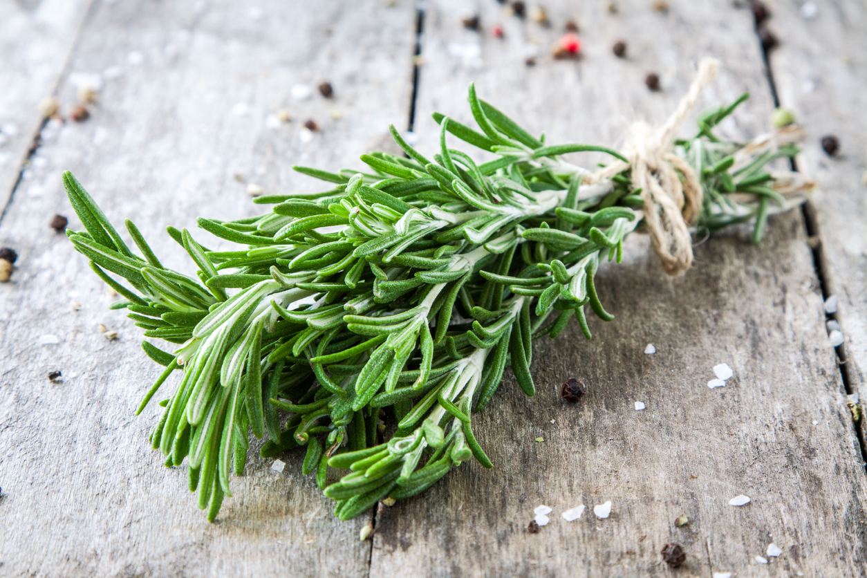 How to Dry Fresh Rosemary and Use it in Oils, Teas, and More Food
