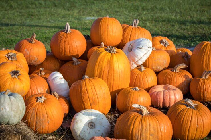 Stack of pumpkins