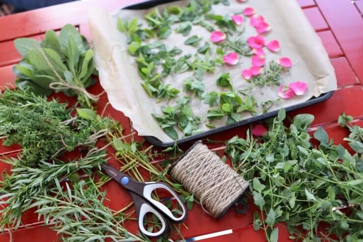 how to dry herbs