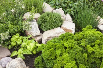Stone vs. Mulch: Which is Better for Edging Edible Gardens?
