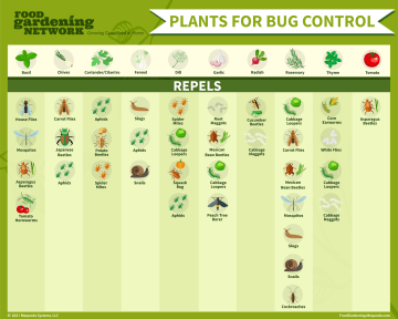 Plants for Bug Control Chart