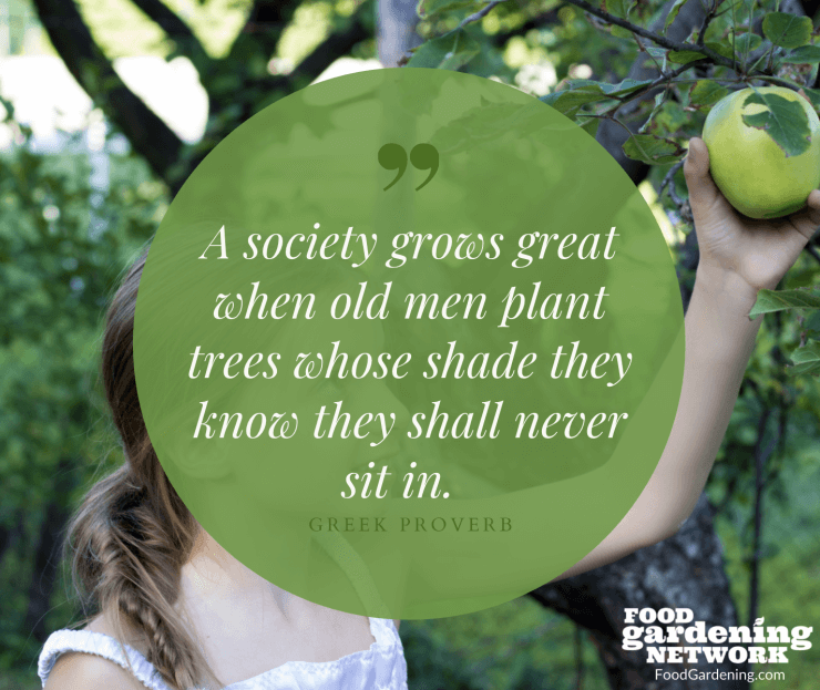 Quotes About Gardening - Feel free to share this image on social media, just link back to this post when you do!