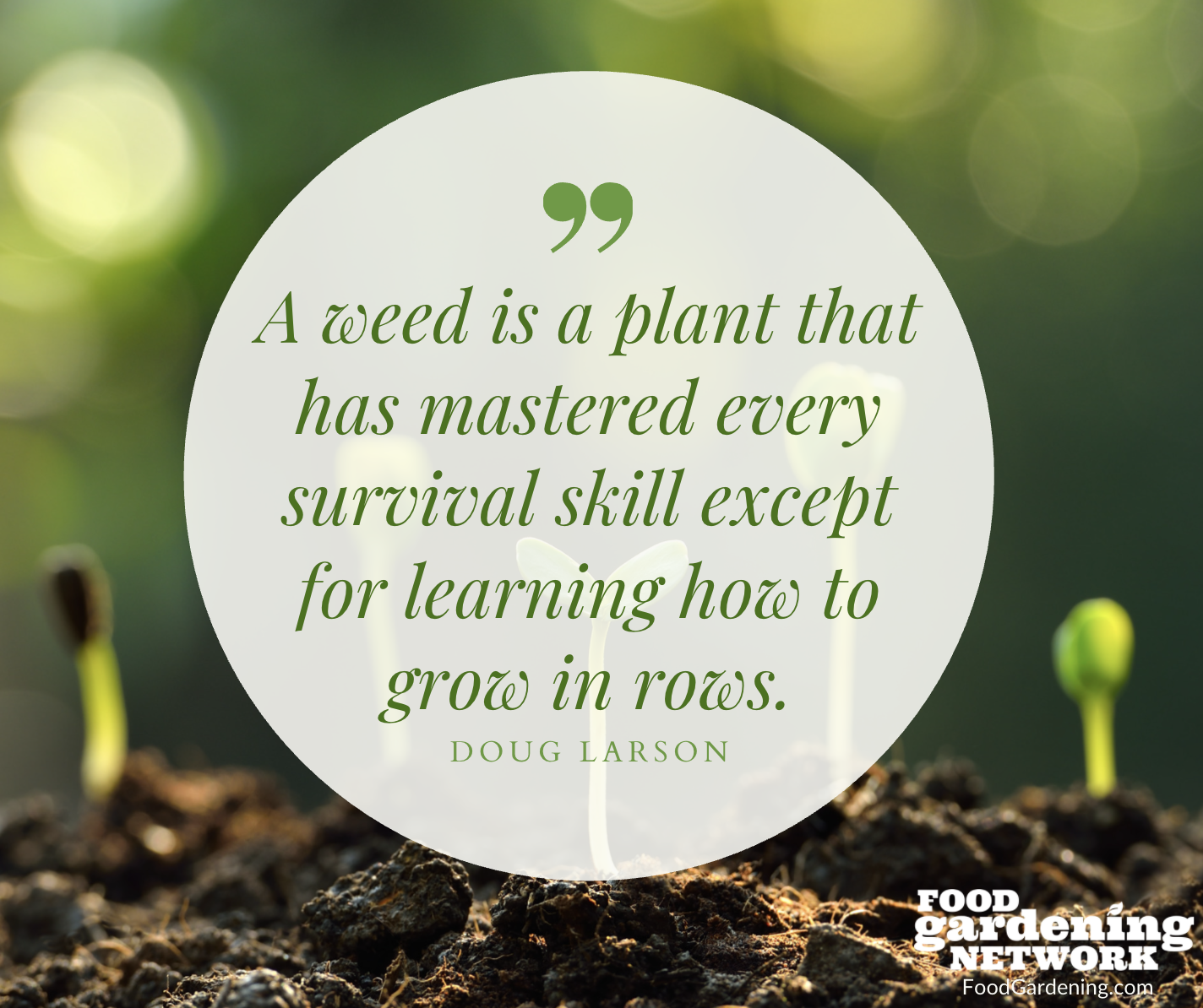 60 Inspirational Quotes About Gardening - Food Gardening Network