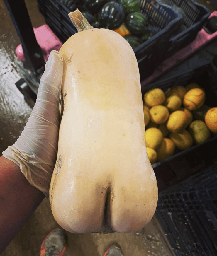 butternut squash butt