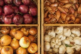 Are You Storing Onions the Wrong Way? Learn How to Store Every Variety