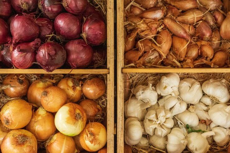 best tips for storing onions