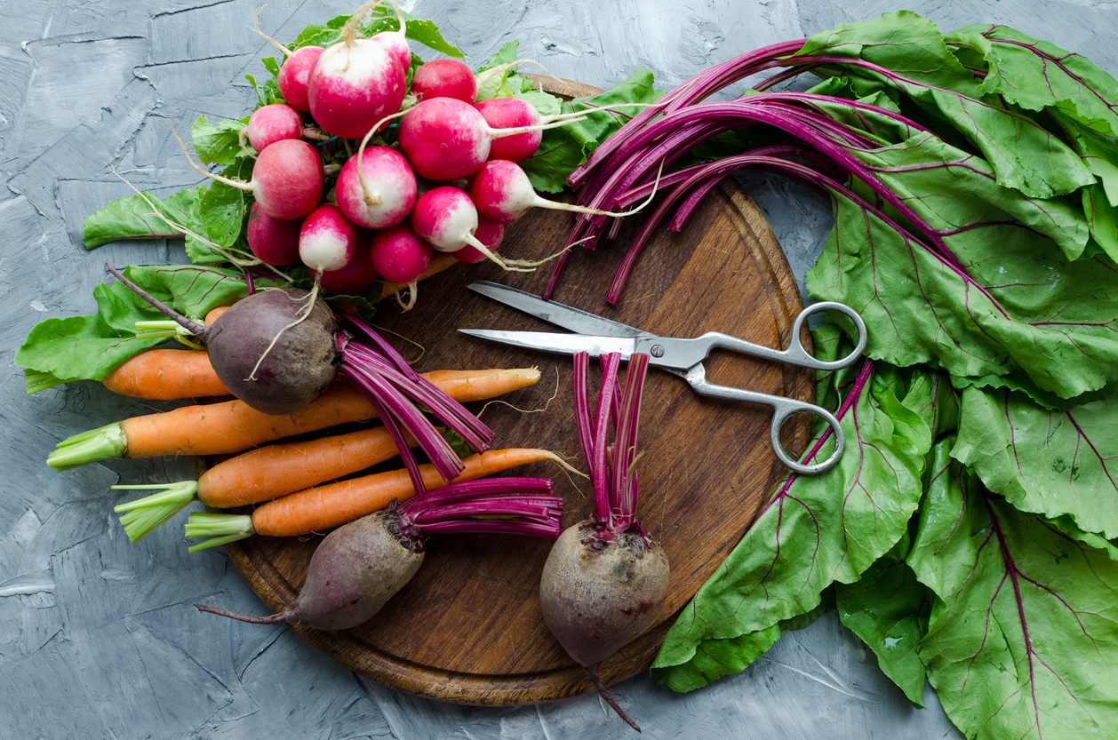 How to Grow Root Vegetables Indoors Food Gardening Network