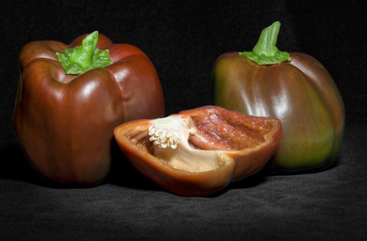 Chocolate Beauty Bell Peppers 