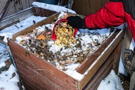 A Guide to Composting in Winter Months