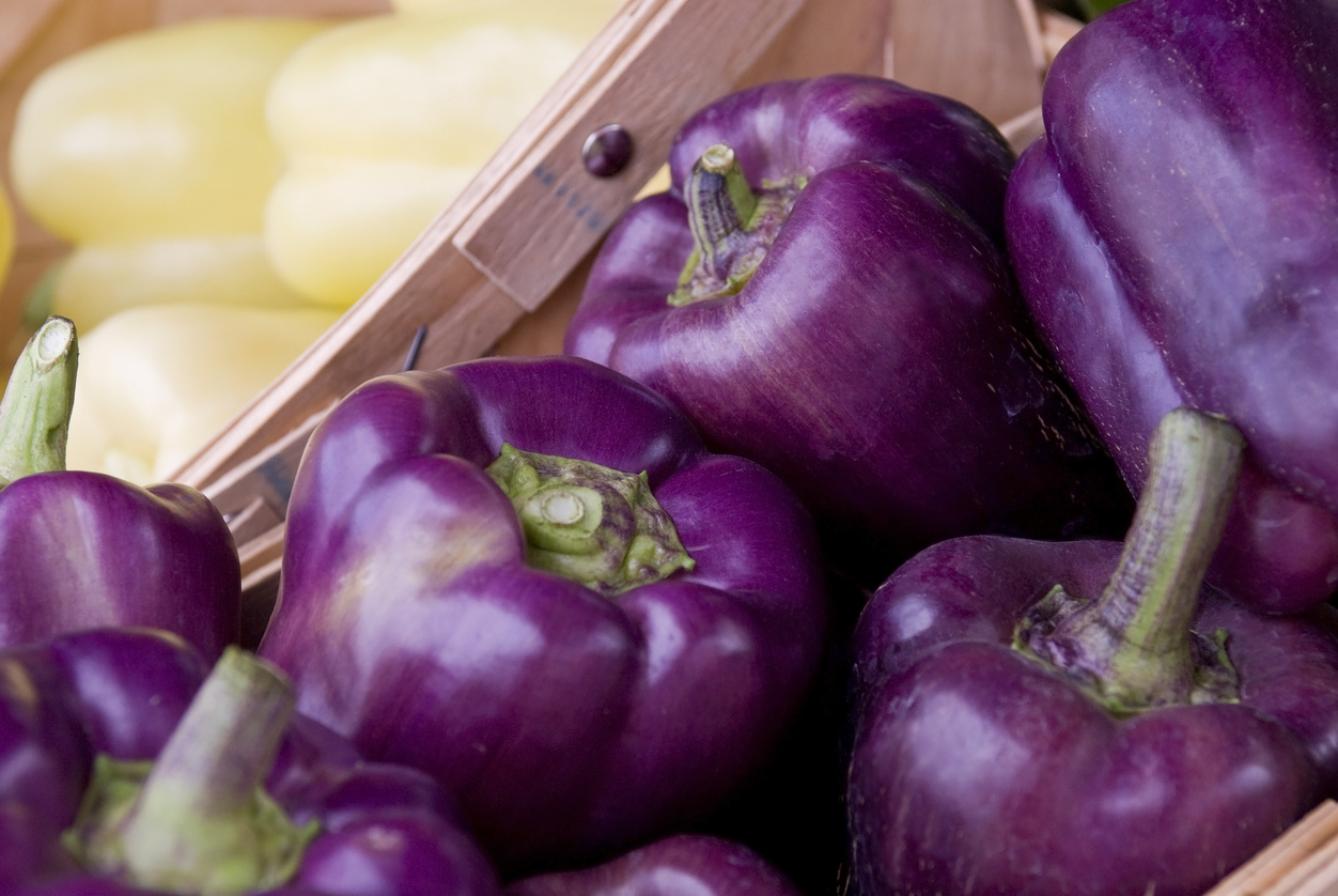 when-to-pick-bell-peppers-food-gardening-network