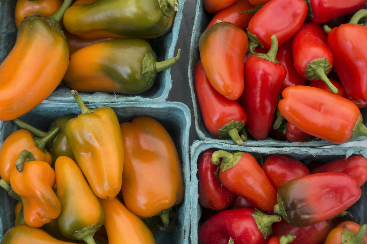 Lunchbox Peppers Food Gardening Network