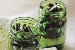 Mint Chocolate Chip Cups
