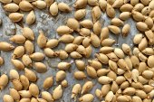 Roasted Acorn Winter Squash Seeds