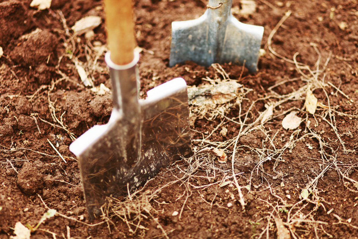 Preparing soil for winter gardening by adding organic mulch