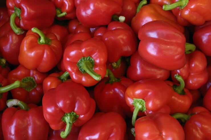 Yankee Bell Peppers