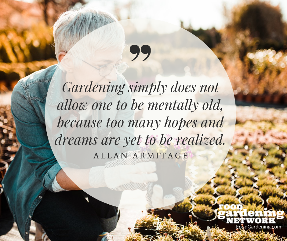 60 Inspirational Quotes About Gardening Food Gardening Network   Gardening Quotes Old 