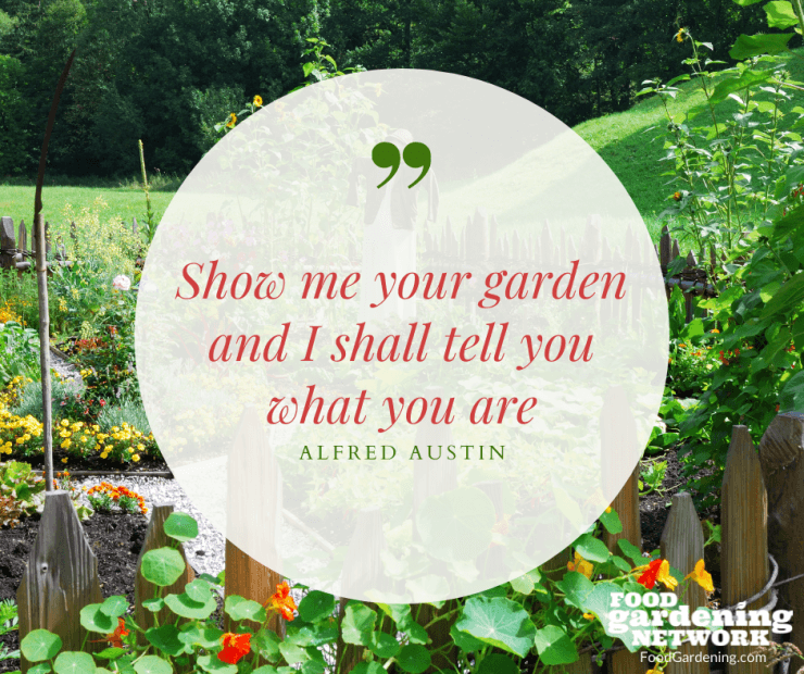 Gardening Quotes