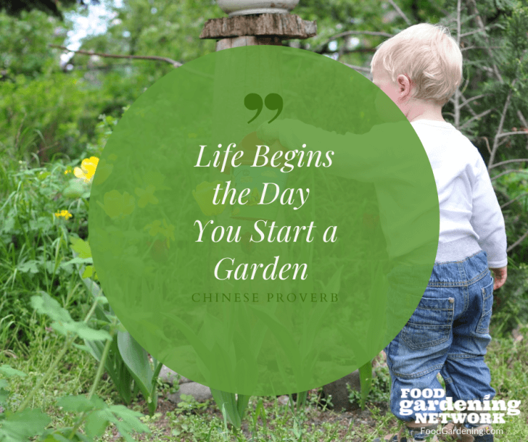 Quotes About Gardening