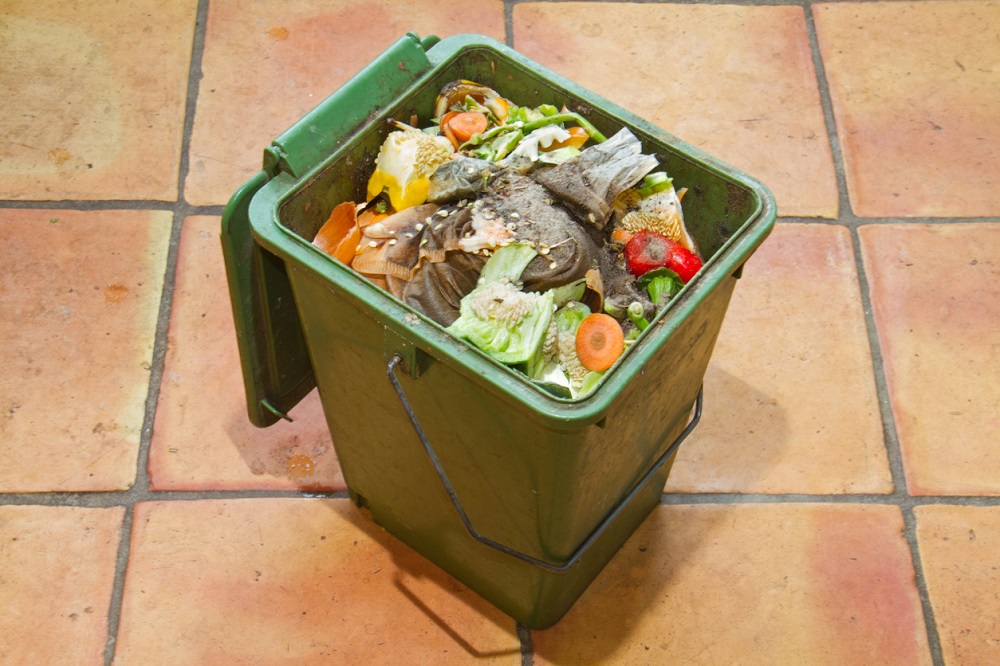 Tips for Managing Bugs in Compost Bins Food Gardening Network
