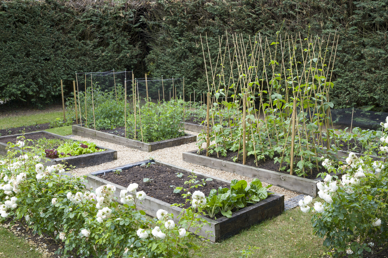 Planning Out Bountiful Raised Beds - Food Gardening Network, image size:1254x836