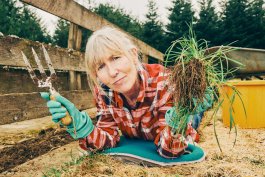 Keeping Weeds at Bay in Your Raised Veggie Garden