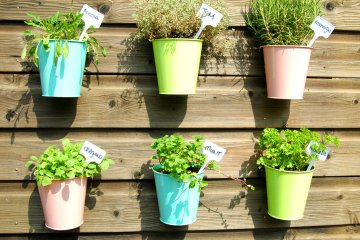 How to Make an Indoor Herb Garden Gift Set for Friends and Family