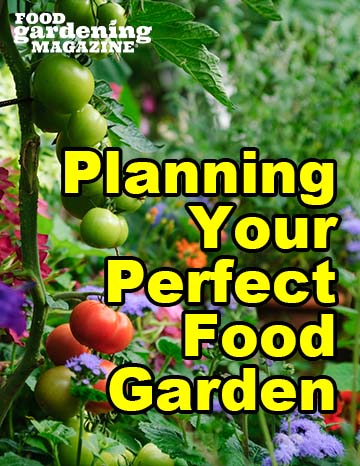 Planning Your Perfect Food Garden