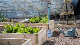 Planning Raised Beds for Your Garden